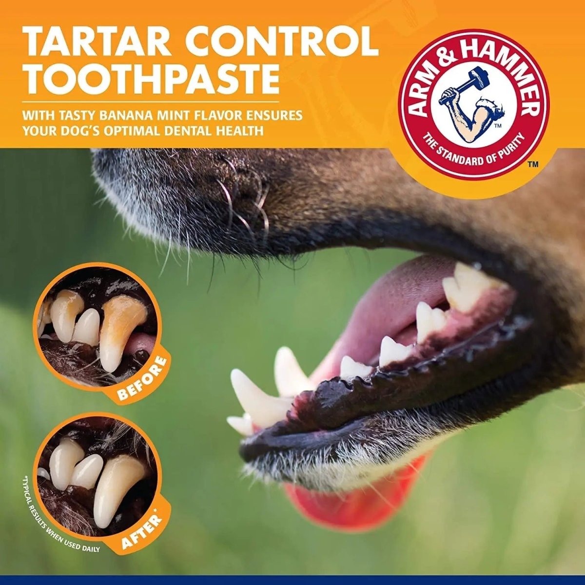Tartar Control Kit for dogs - The Snag Bin