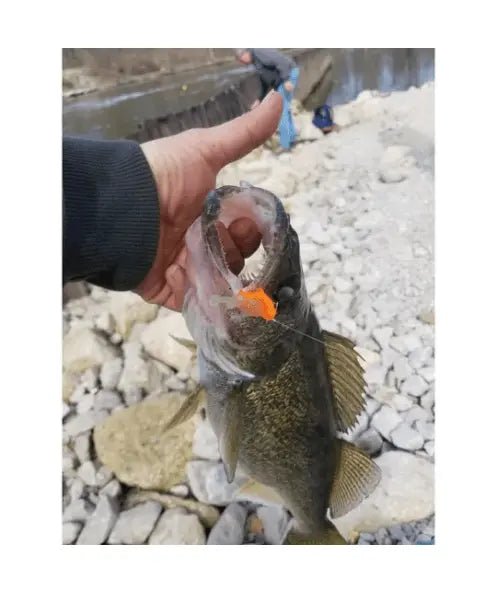 The Tadler - The Snag Bin
