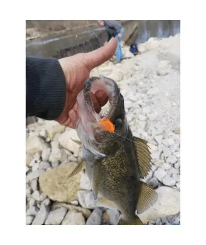 The Tadler - The Snag Bin