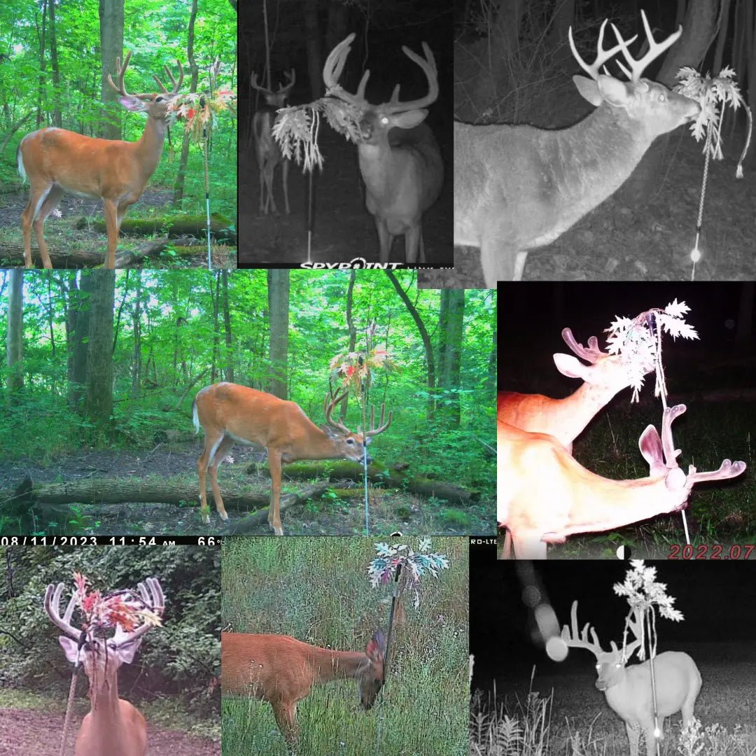 The "Ultimate Mock Scrape" Combo Pack - The Snag Bin