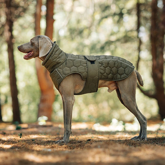 Thick and warm dog clothing - The Snag Bin