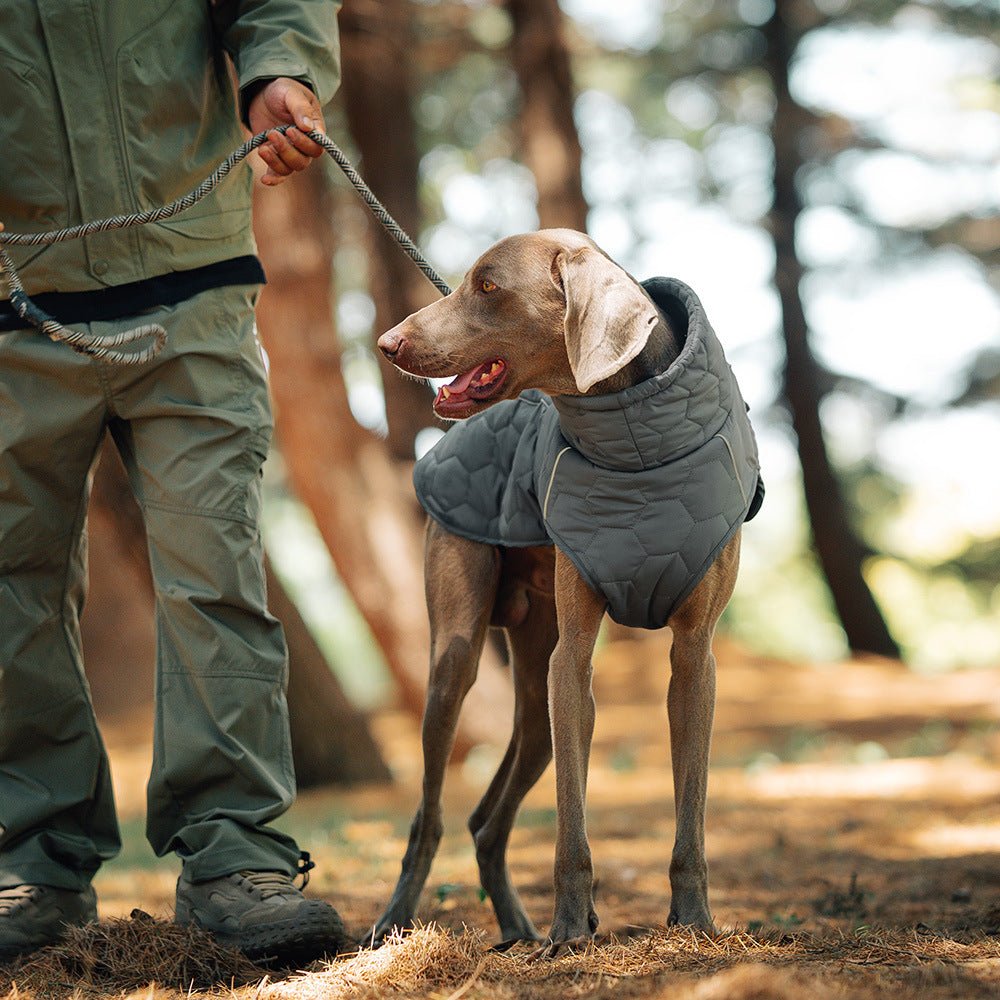 Thick and warm dog clothing - The Snag Bin