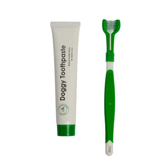 Triple Headed Dog Toothbrush with All - Natural Toothpaste Kit – 2 - Piece Kit - The Snag Bin