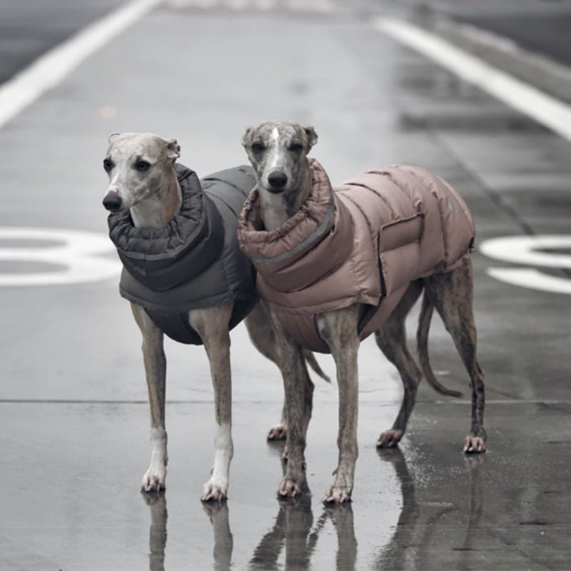 Two leg coat - The Snag Bin