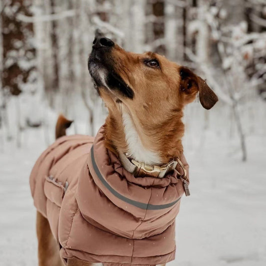 Two leg coat - The Snag Bin