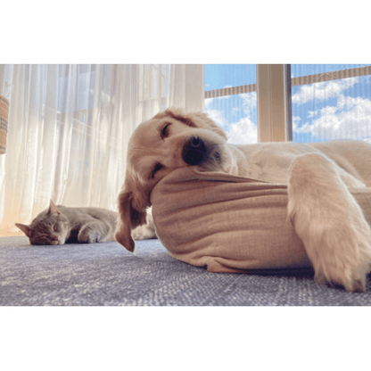 UBAVET Ubacalm Calming and Stress Relief Soft Dog Chews - The Snag Bin