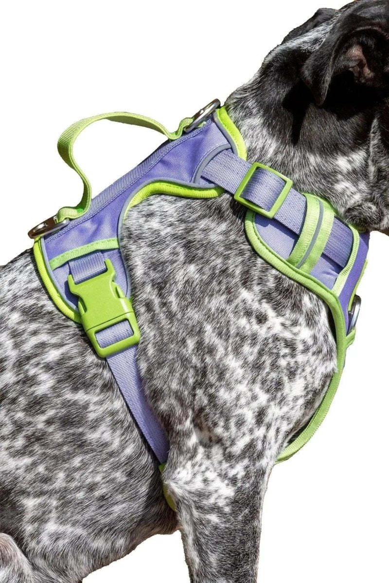 Ultimate Dog Harness - The Snag Bin