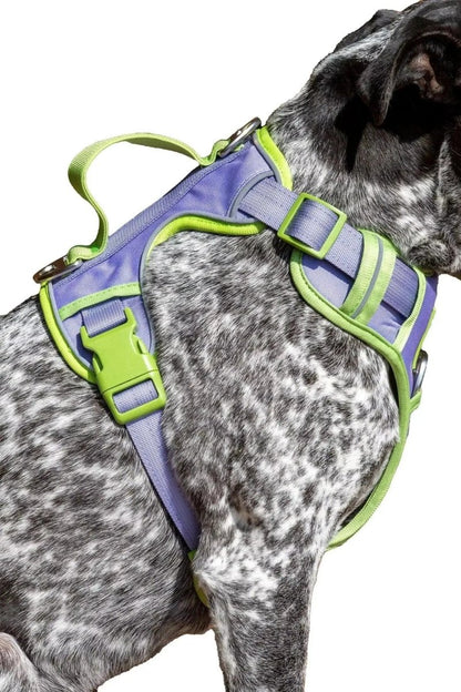 Ultimate Dog Harness - The Snag Bin