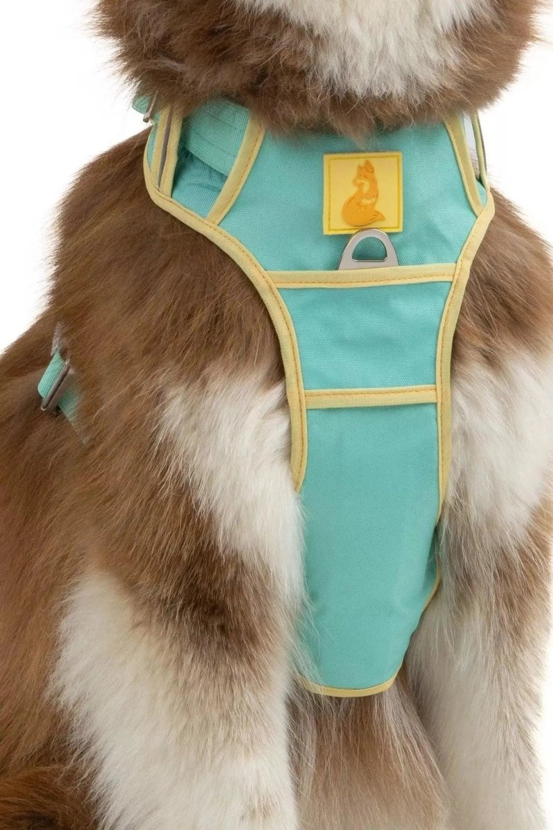 Ultimate Dog Harness - The Snag Bin