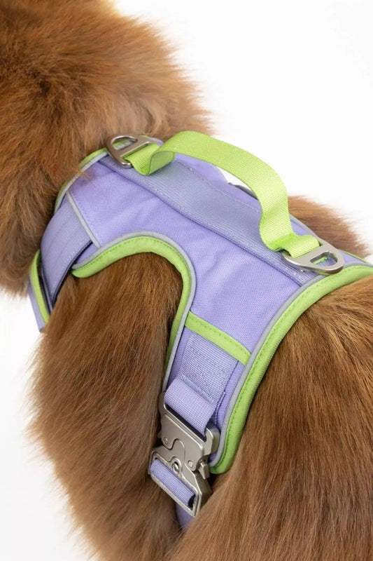 Ultimate Dog Harness - The Snag Bin