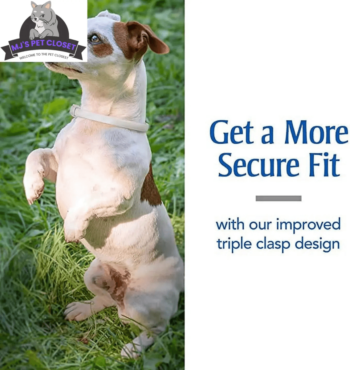 Ultimate Flea & Tick Protection Collar for Dogs - One Size Fits All, Lasts 6 Months - The Snag Bin
