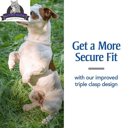 Ultimate Flea & Tick Protection Collar for Dogs - One Size Fits All, Lasts 6 Months - The Snag Bin