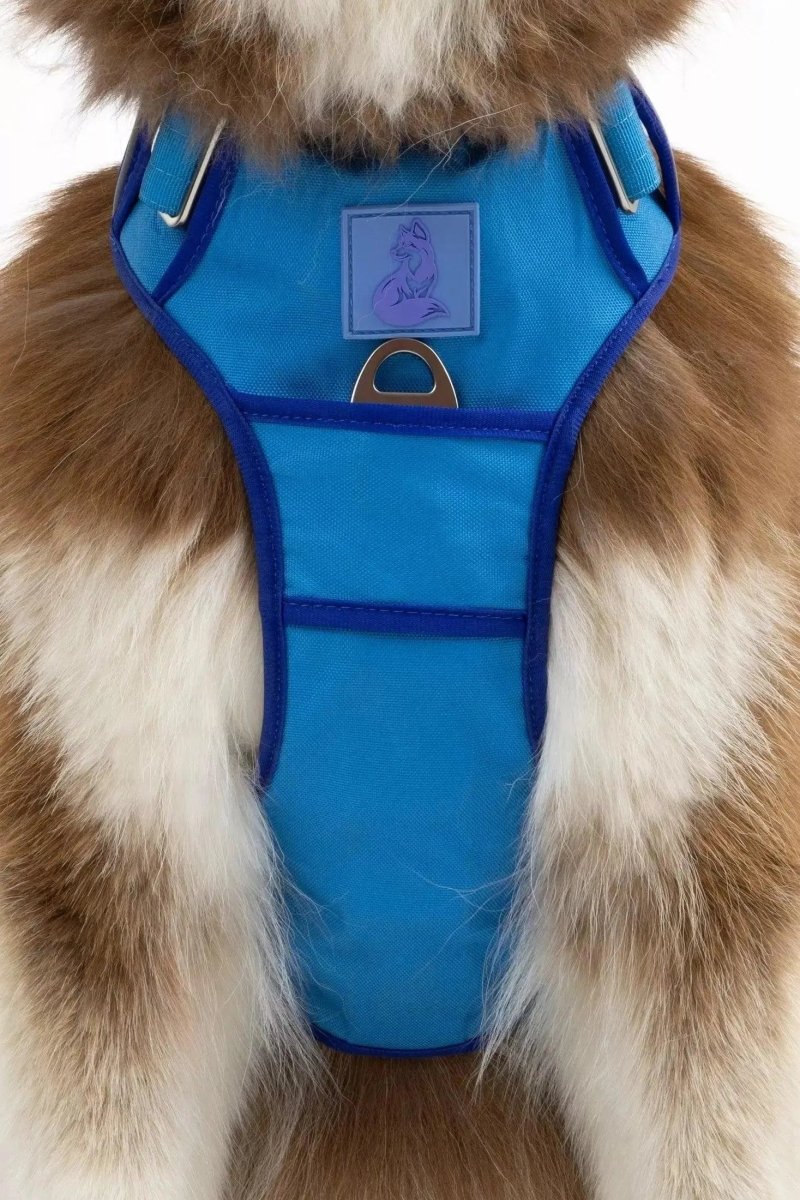 Ultimate Harness - The Snag Bin