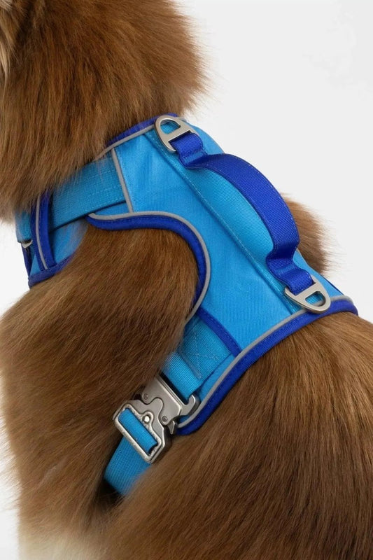 Ultimate Harness - The Snag Bin