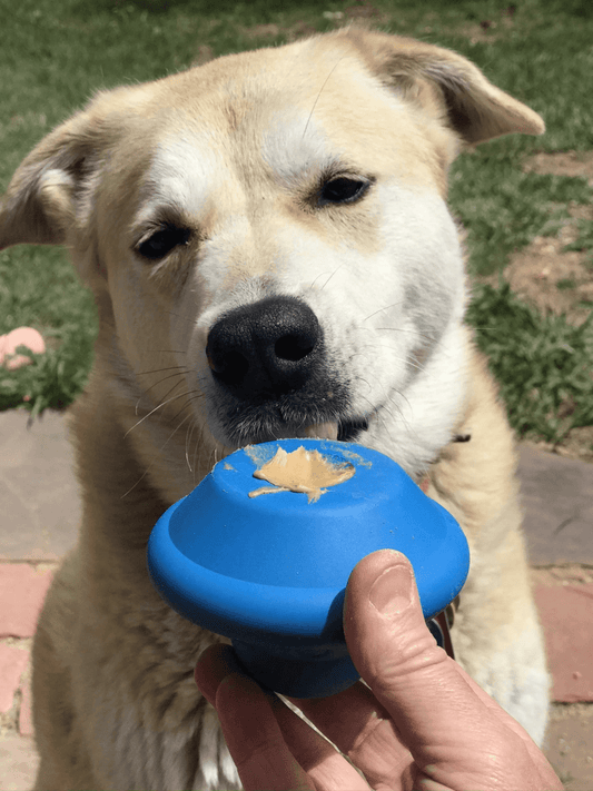 Ultra - Durable Flying Saucer Chew Toy & Treat Dispenser for Dogs - The Snag Bin