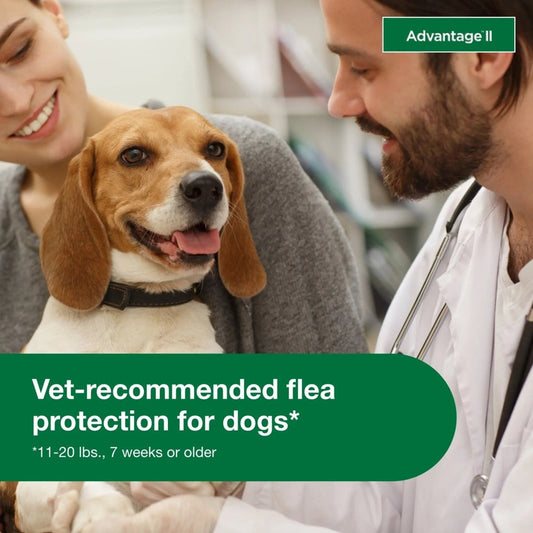 Vet - Recommended Flea Prevention for Medium Dogs 11 - 20 Lbs, 6 - Monthly Treatments - The Snag Bin