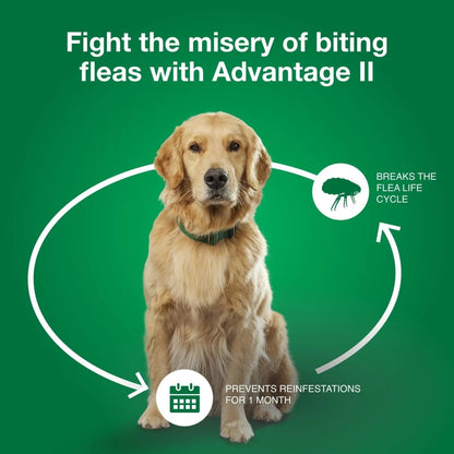 Vet - Recommended Flea Prevention for Medium Dogs 11 - 20 Lbs, 6 - Monthly Treatments - The Snag Bin