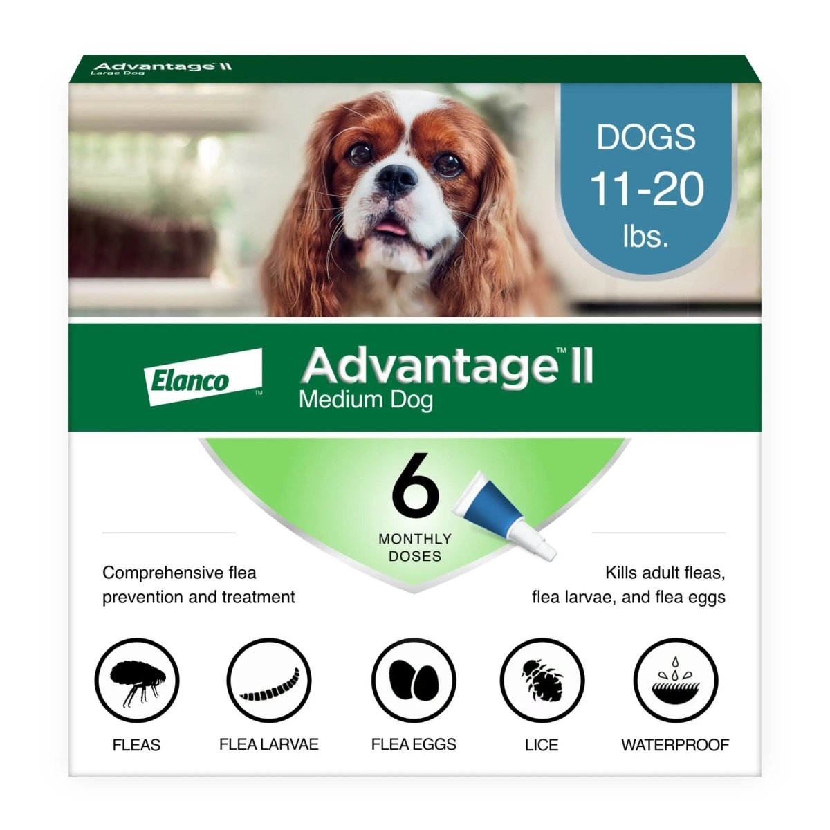 Vet - Recommended Flea Prevention for Medium Dogs 11 - 20 Lbs, 6 - Monthly Treatments - The Snag Bin