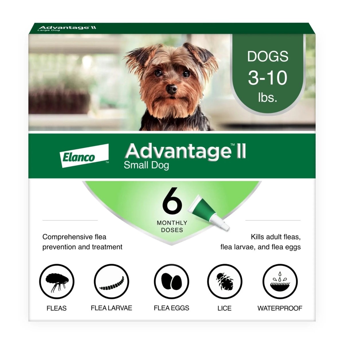 Vet - Recommended Flea Prevention for Small Dogs 3 - 10 Lbs, 6 - Monthly Treatments - The Snag Bin