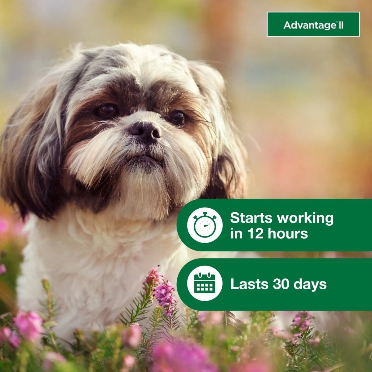 Vet - Recommended Flea Prevention for Small Dogs 3 - 10 Lbs, 6 - Monthly Treatments - The Snag Bin
