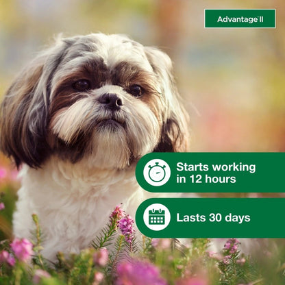 Vet - Recommended Flea Prevention for Small Dogs 3 - 10 Lbs, 6 - Monthly Treatments - The Snag Bin