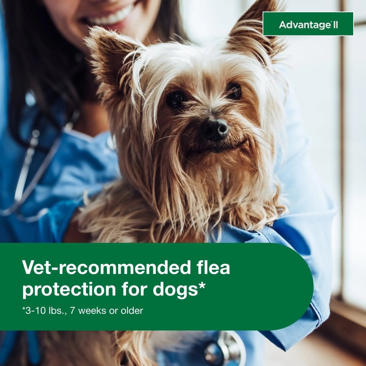 Vet - Recommended Flea Prevention for Small Dogs 3 - 10 Lbs, 6 - Monthly Treatments - The Snag Bin