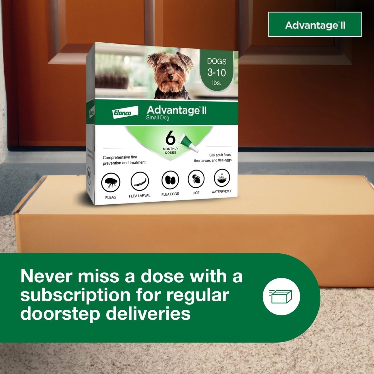 Vet - Recommended Flea Prevention for Small Dogs 3 - 10 Lbs, 6 - Monthly Treatments - The Snag Bin