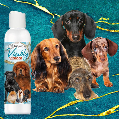 Visibly Vibrant Pet Shampoo - The Snag Bin