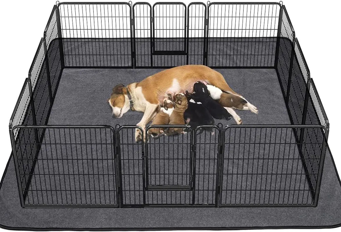 Washable Pee Pads for Dogs - The Snag Bin