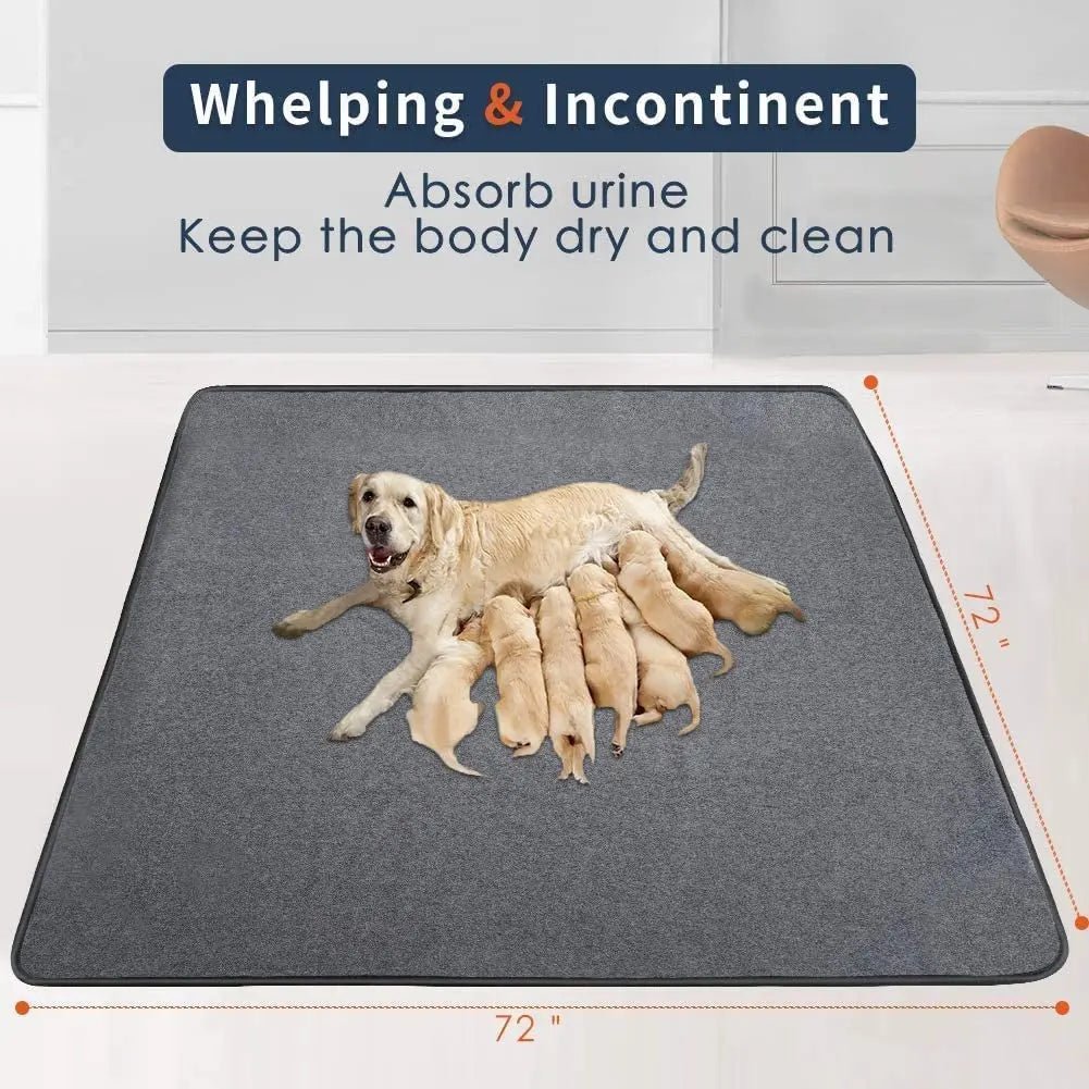 Washable Pee Pads for Dogs - The Snag Bin