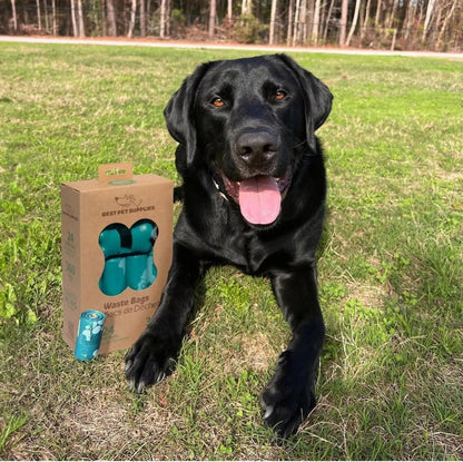 Waste Refuse Cleanup, Doggy Roll Replacements - The Snag Bin