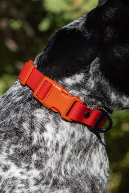 Waterproof Dog Collar - The Snag Bin