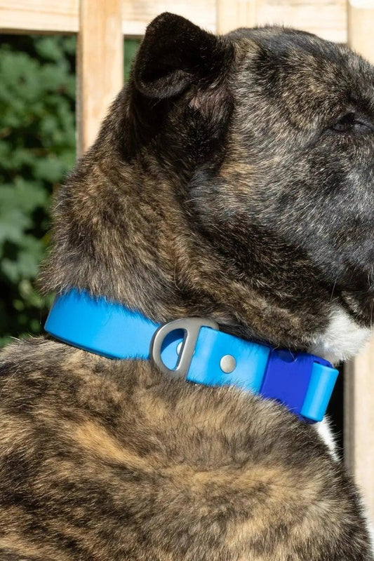 Waterproof Dog Collar - The Snag Bin