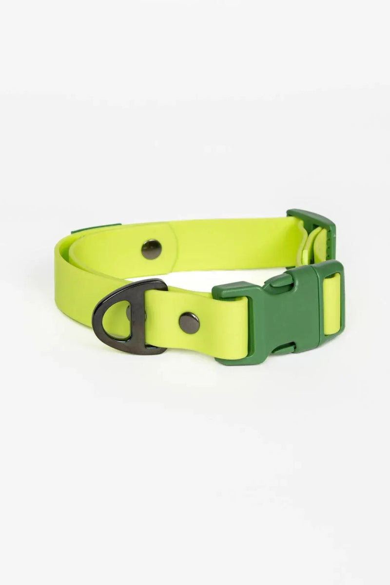 Waterproof Dog Collar - The Snag Bin