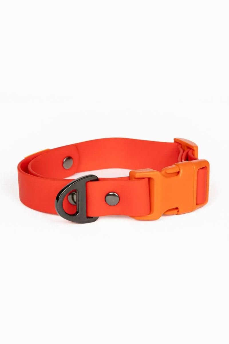 Waterproof Dog Collar - The Snag Bin