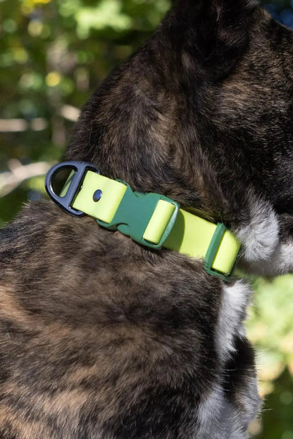 Waterproof Dog Collar - The Snag Bin
