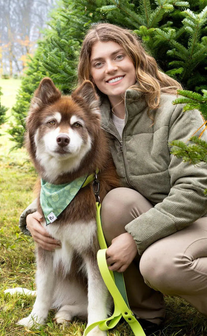 Waterproof Dog Collar - The Snag Bin
