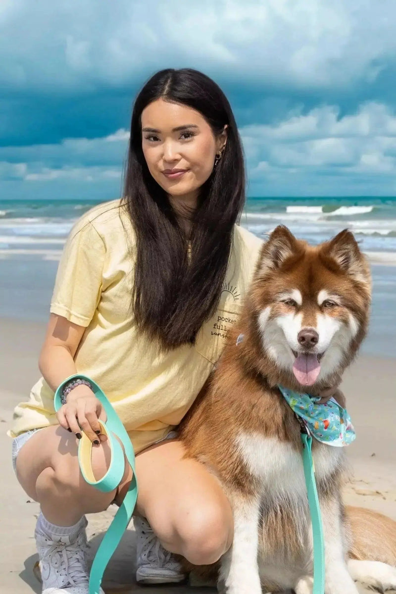 Waterproof Dog Collar - The Snag Bin