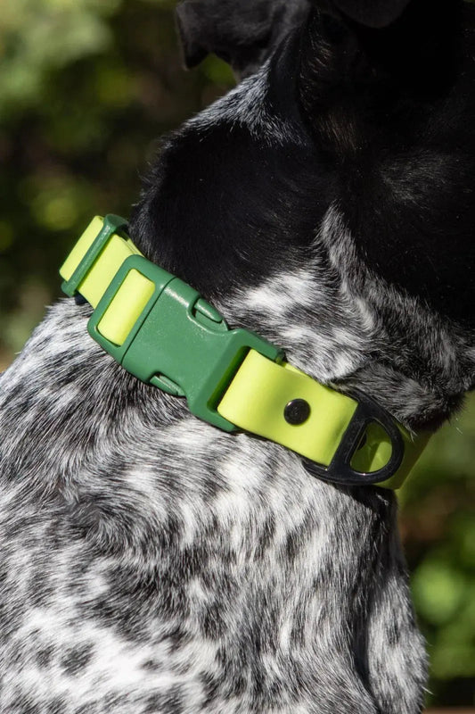 Waterproof Dog Collar - The Snag Bin
