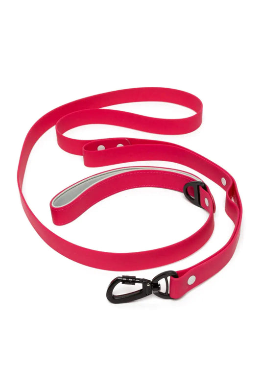 Waterproof Dog Leash - The Snag Bin