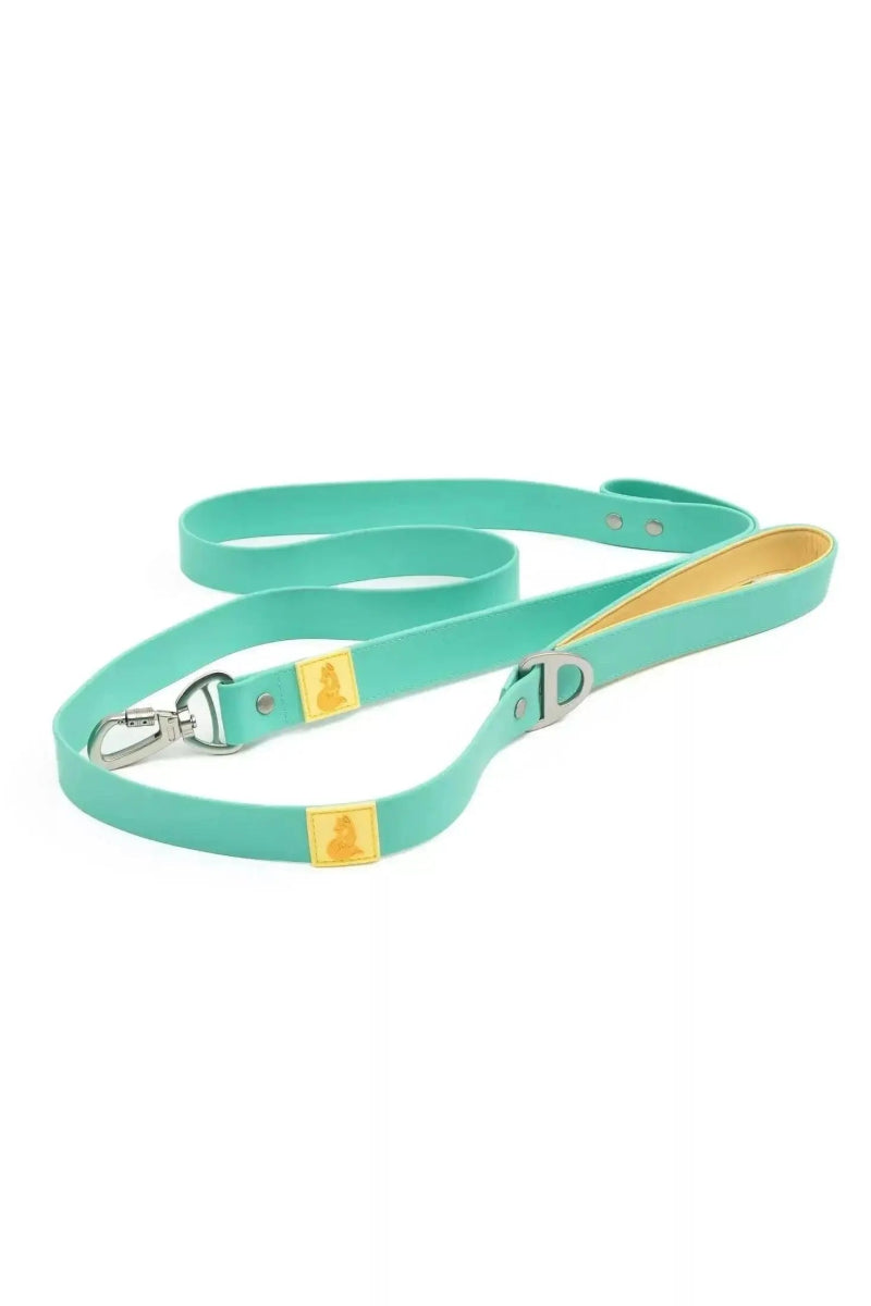 Waterproof Dog Leash - The Snag Bin
