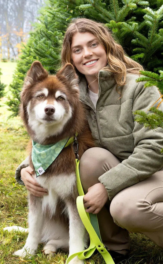 Waterproof Leash - The Snag Bin
