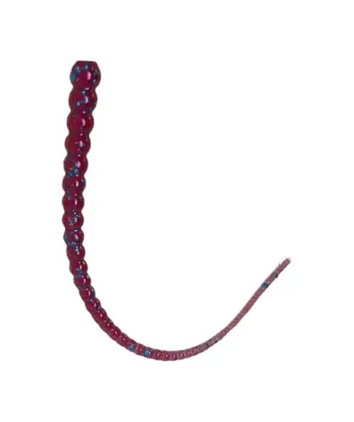 Whip Worm - The Snag Bin