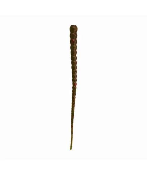 Whip Worm - The Snag Bin