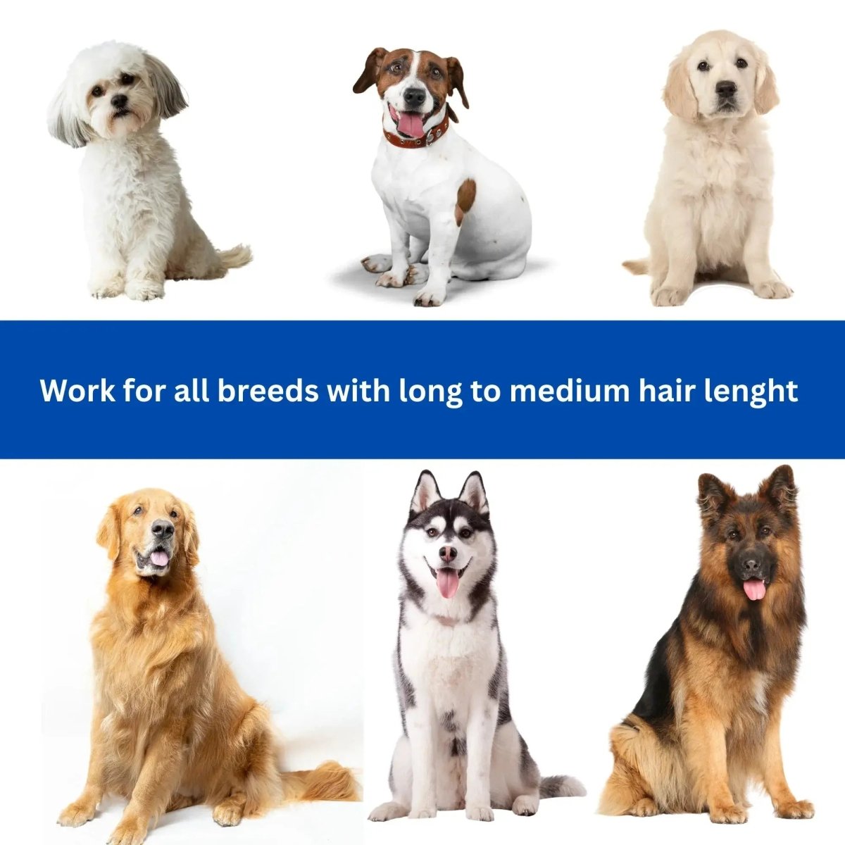 Wooden Handle Pet Brush - The Snag Bin